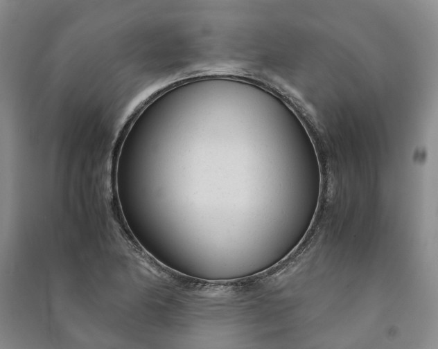X0000090961174200708161810