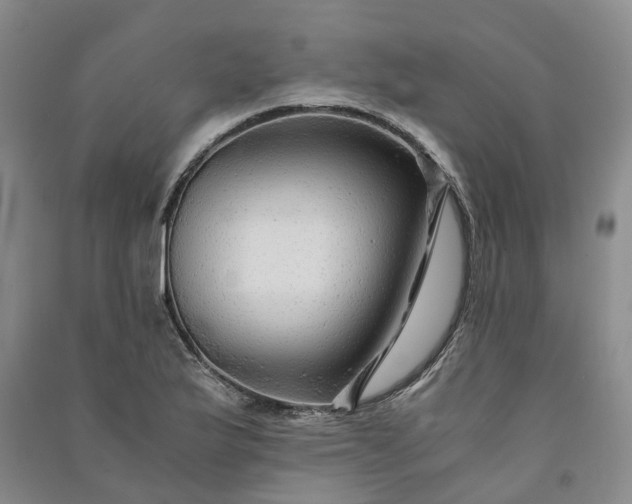 X0000090961175200708161810