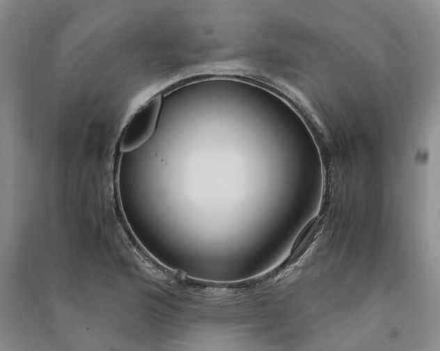 X0000090961176200708161810