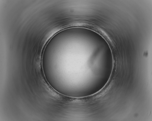 X0000090961178200708161810
