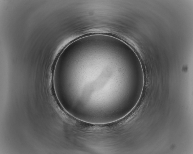 X0000090961179200708161810