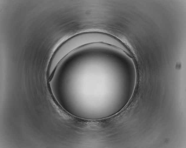 X0000090961181200708161810