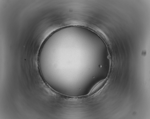 X0000090961182200708161810