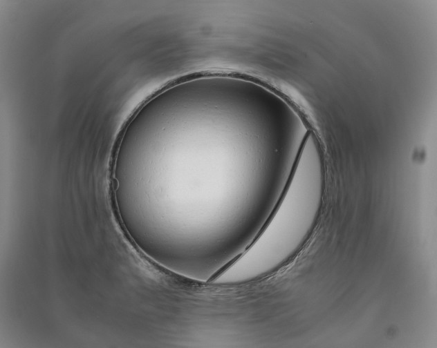 X0000090961183200708161810