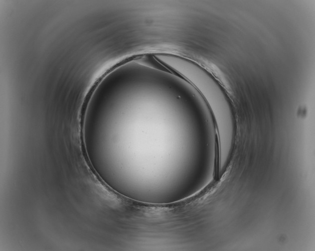 X0000090961184200708161810