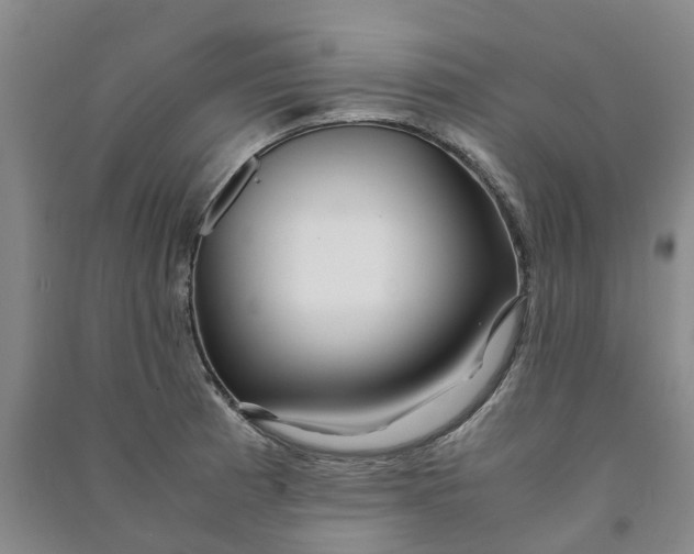 X0000090961185200708161810