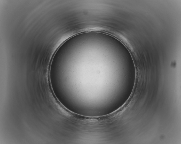 X0000090961186200708161810