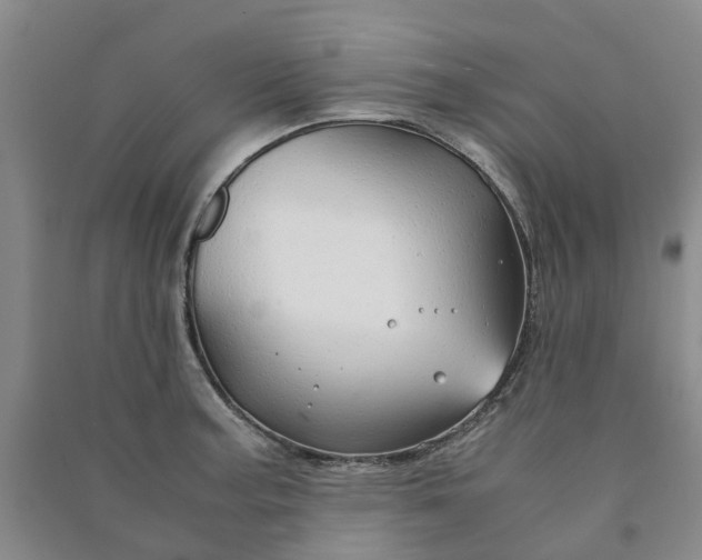X0000090961187200708161810