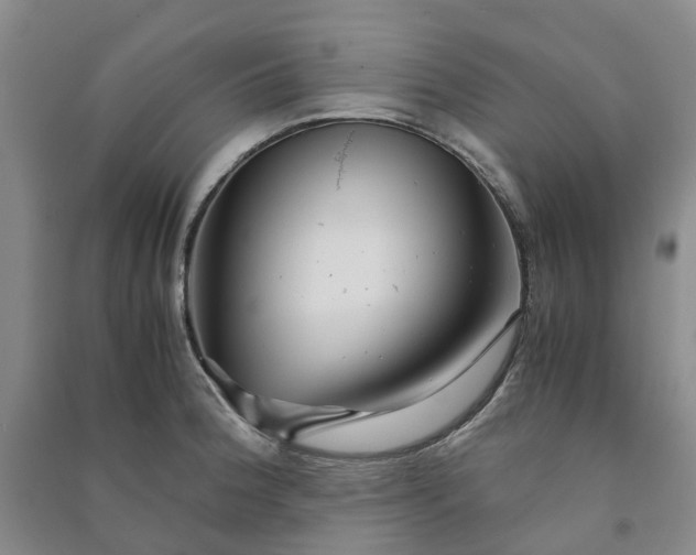 X0000090961188200708161810