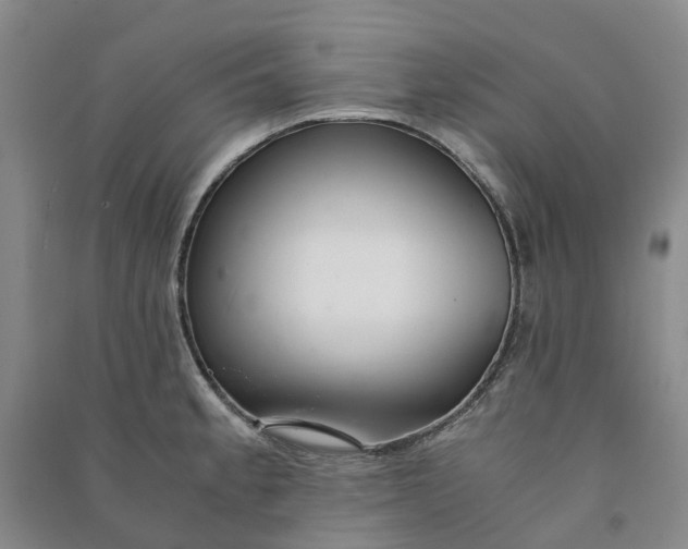 X0000090961189200708161810