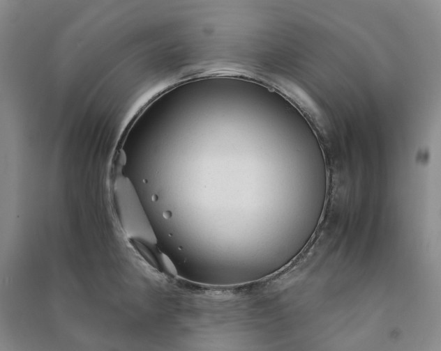 X0000090961190200708161810
