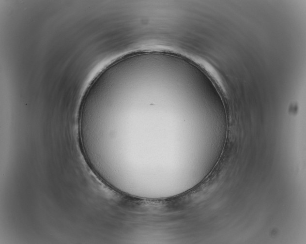 X0000090961191200708161810
