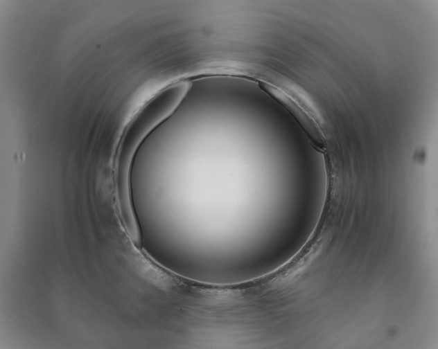 X0000090961192200708161810
