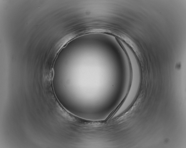 X0000090961193200708161810