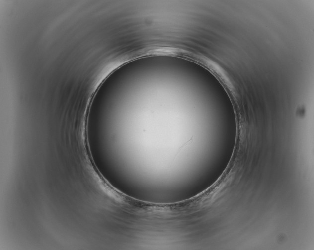 X0000090961194200708161810