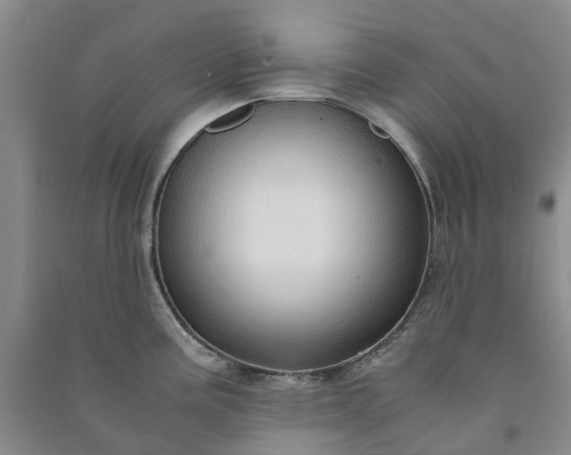 X0000090961195200708161810