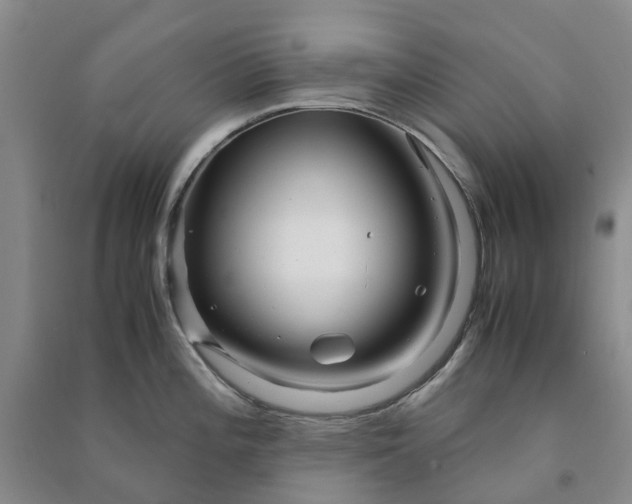 X0000090961196200708161810