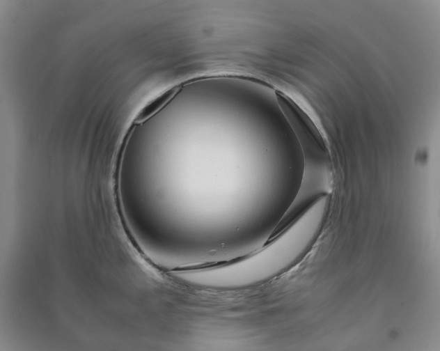 X0000090961197200708161810