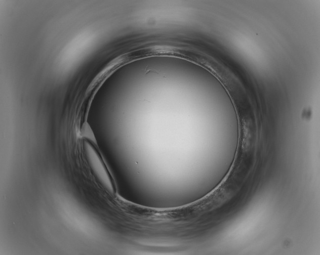 X0000090961198200708161810