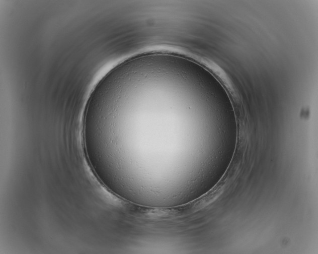 X0000090961199200708161810