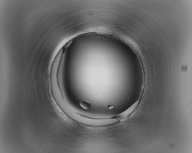X0000090961200200708161809