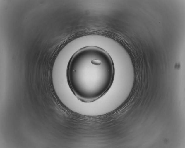 X0000090961204200708161809