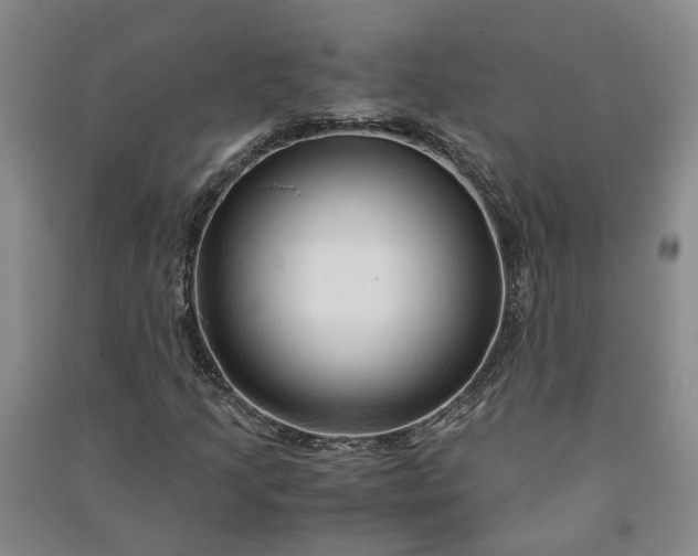 X0000090961205200708161809