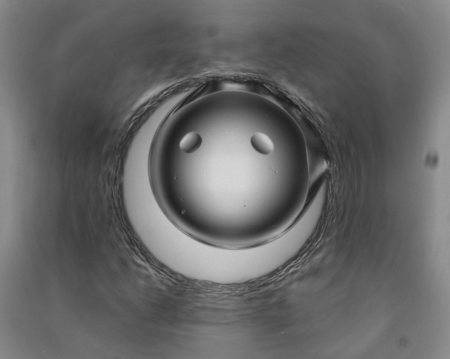 X0000090961206200708161809