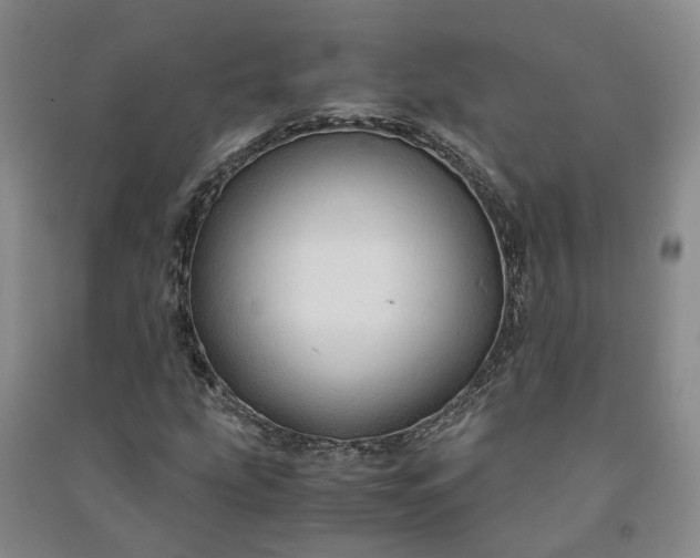 X0000090961207200708161809
