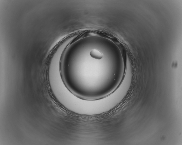 X0000090961208200708161809