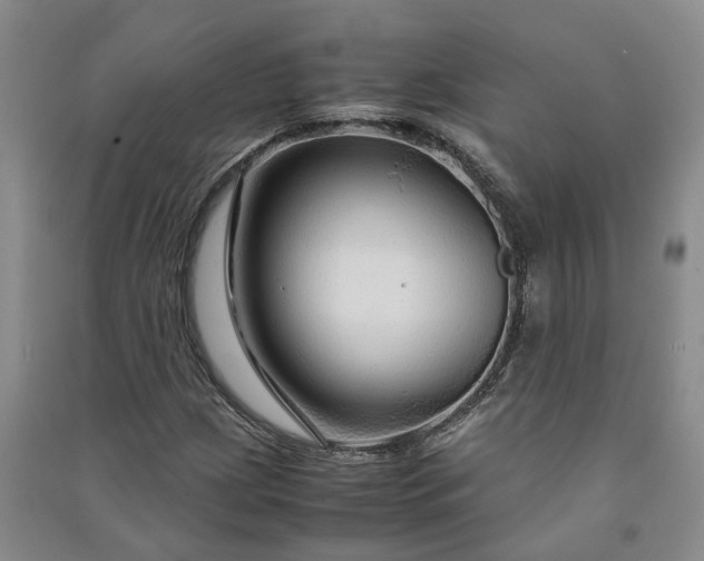 X0000090961209200708161809