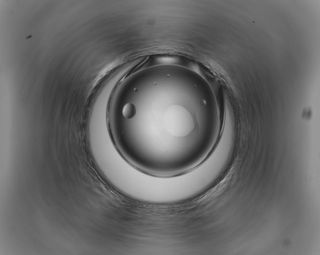 X0000090961210200708161809