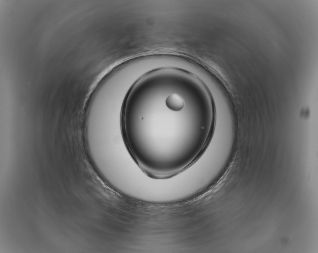 X0000090961212200708161809