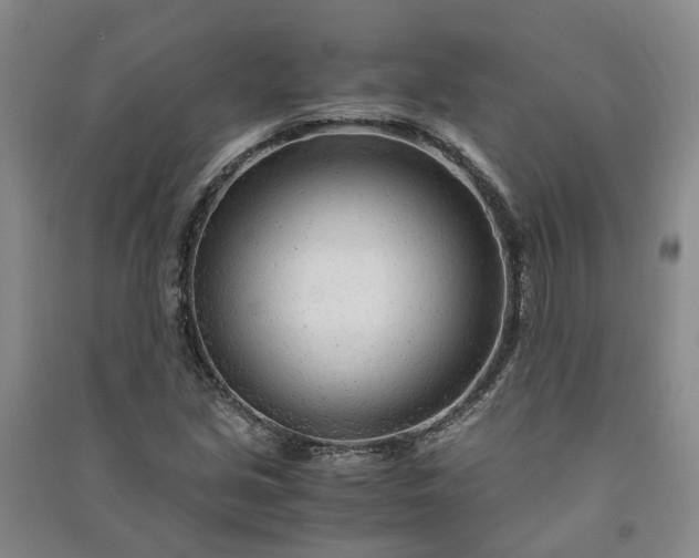 X0000090961213200708161809