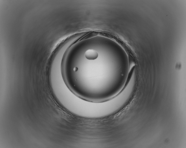 X0000090961214200708161809