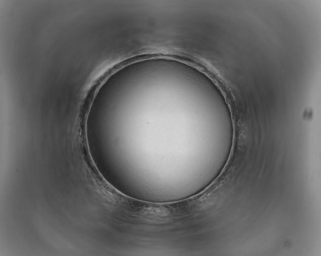 X0000090961215200708161809