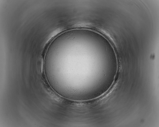 X0000090961219200708161809