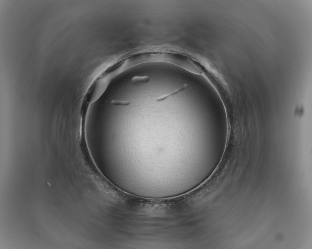 X0000090961221200708161809