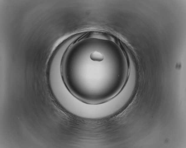 X0000090961222200708161809