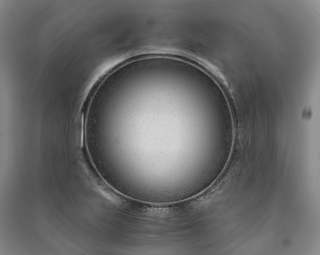 X0000090961223200708161809