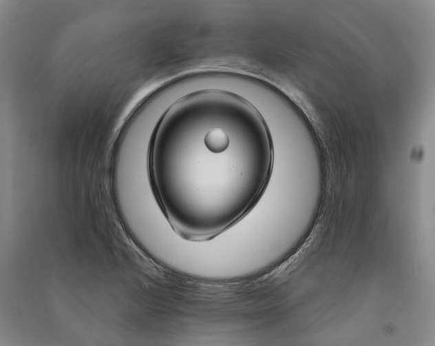 X0000090961224200708161809