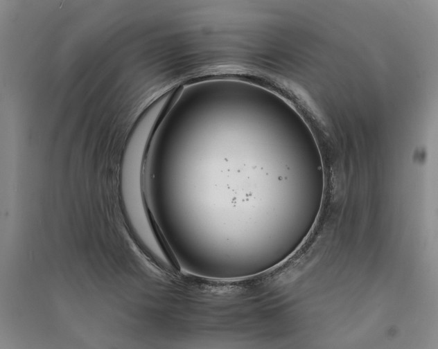 X0000090961225200708161809