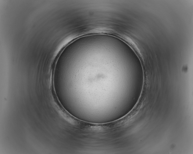 X0000090961227200708161809