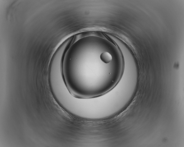 X0000090961228200708161809