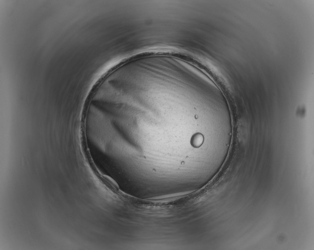 X0000090961229200708161809