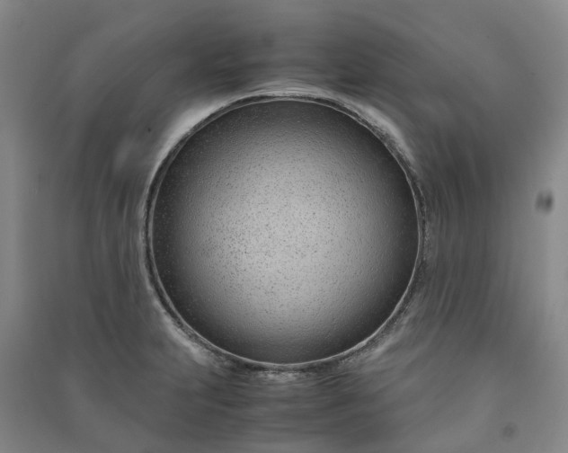 X0000090961231200708161809