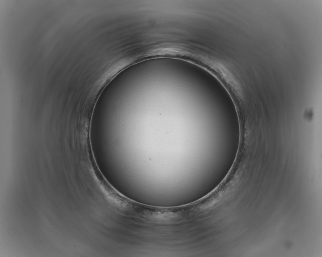 X0000090961233200708161809