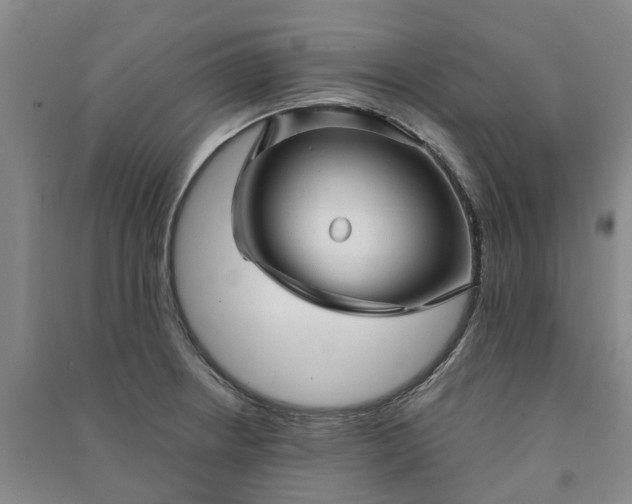 X0000090961234200708161809