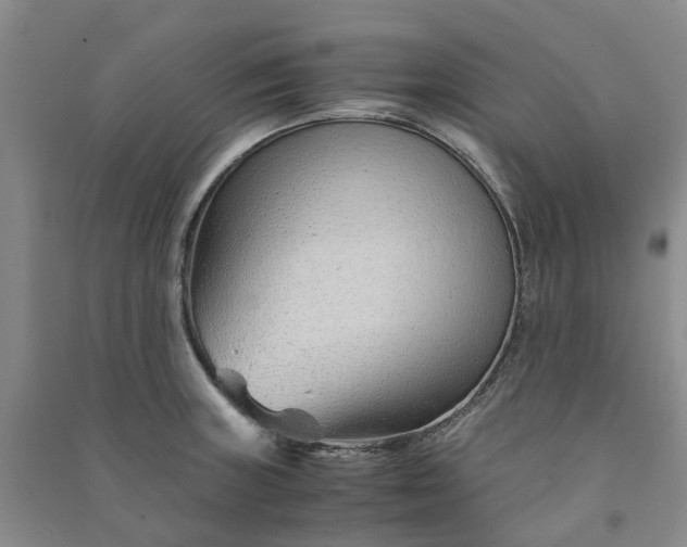 X0000090961235200708161809
