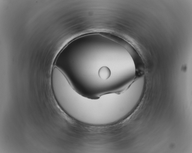 X0000090961236200708161809
